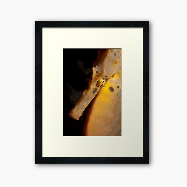 Item preview, Bashful. designed and sold by James Peake Nature Photography..