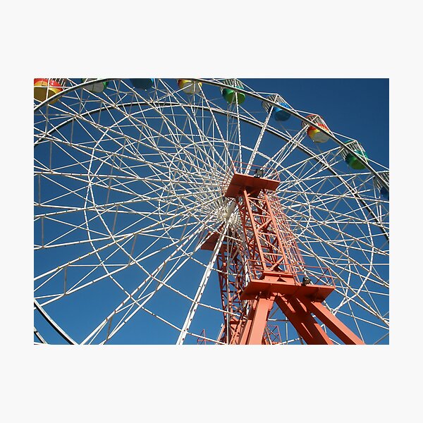 Artikelvorschau, Sydney Carousel entworfen und verkauft von Ande Reid.