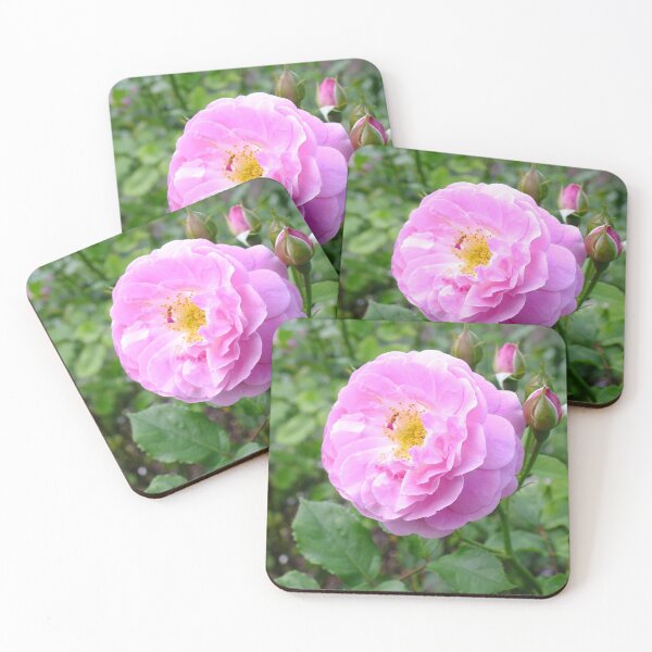 Item preview, Pink Rose designed and sold by pinkal.
