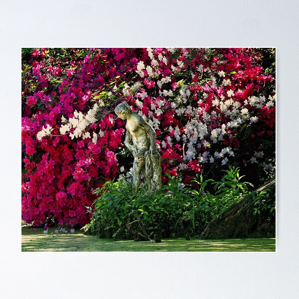 Item preview, The Water's Edge designed and sold by photosan.