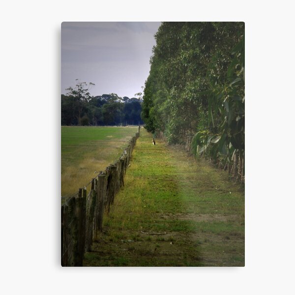 The edge... Metal Print