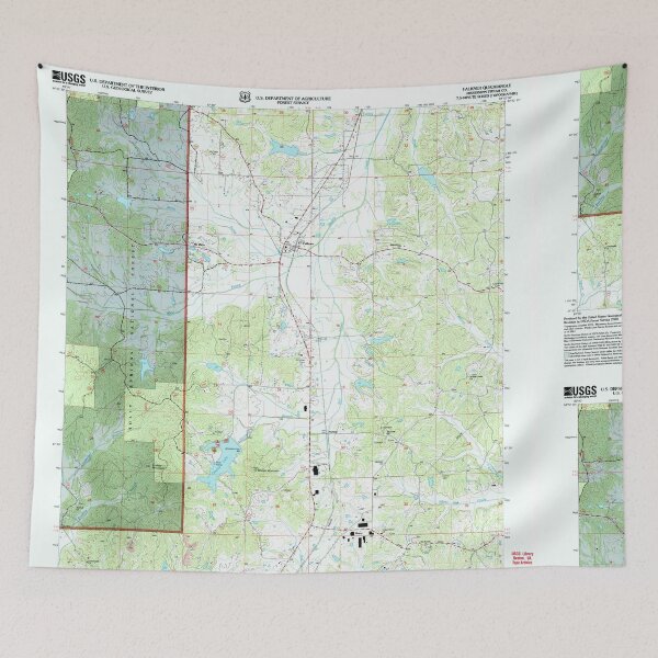 Item preview, USGS TOPO Map Mississippi MS Falkner 335642 2000 24000 designed and sold by WetdryvacRBO2.