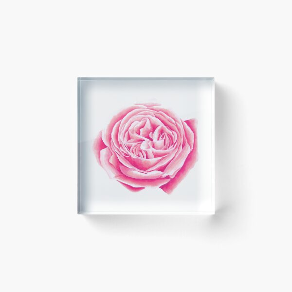 Item preview, Pink Rose 2 designed and sold by thetypographer.