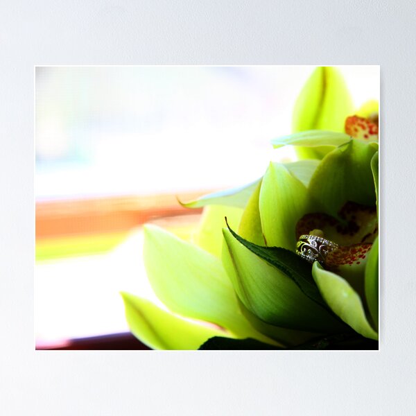 Item preview, Circles of love... designed and sold by Marny Barnes.
