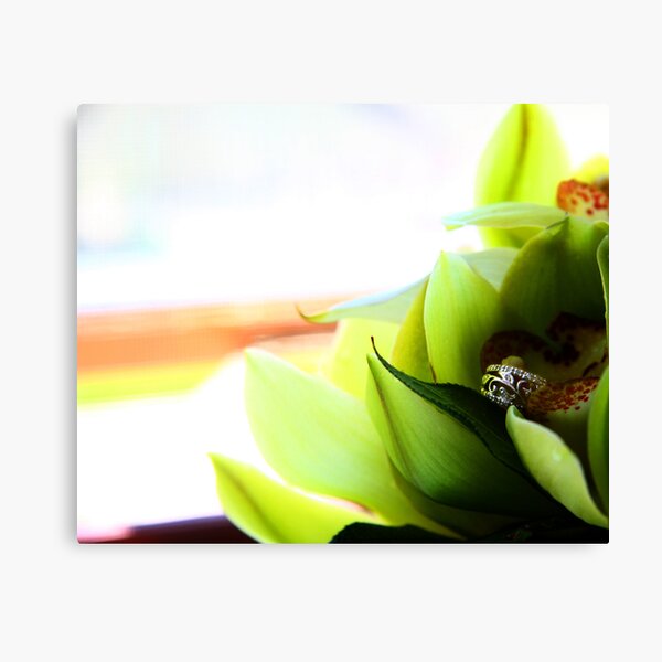 Circles of love... Canvas Print