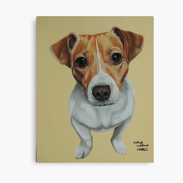 Sky the Jack Russell Terrier Canvas Print