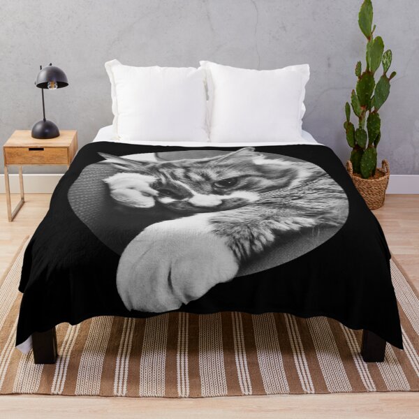 Item preview, SIDE EYE CAT IS OVER IT. UGH. Funny kitten meme image. designed and sold by Good-Politics.