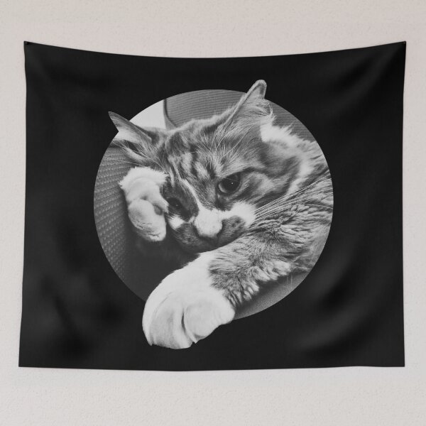 Item preview, SIDE EYE CAT IS OVER IT. UGH. Funny kitten meme image. designed and sold by Good-Politics.