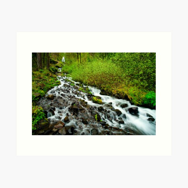 Item preview, Spring Cascades designed and sold by DawsonImages.