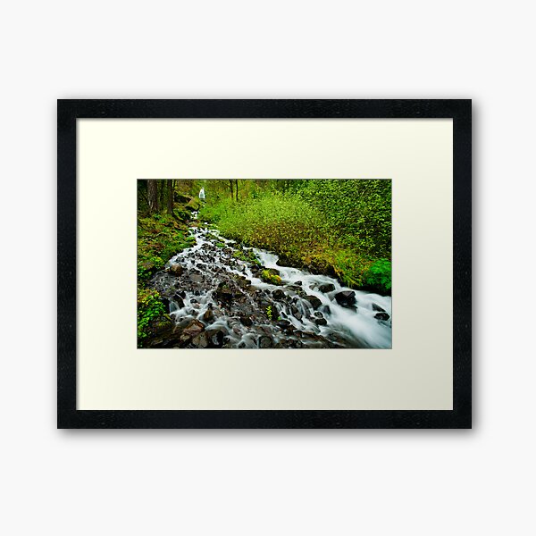 Item preview, Spring Cascades designed and sold by DawsonImages.