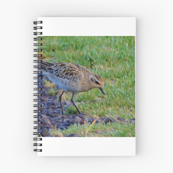 Item preview, Sand Piper designed and sold by photosbypamela.
