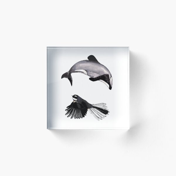 Maui Dolphin and Fantail Circle of Life Acrylic Block