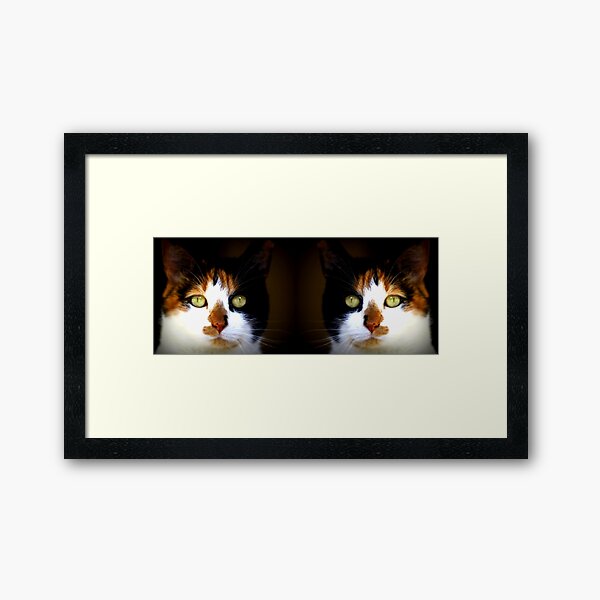 Her mirror image Framed Art Print