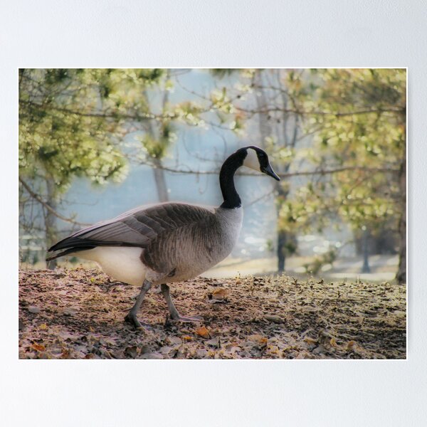 Item preview, A Walk in the Park designed and sold by shutterbug2010.