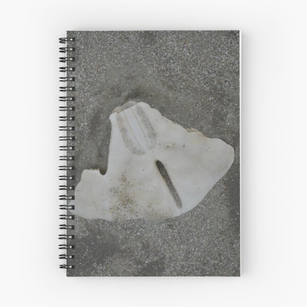 Item preview, EVEN THE SAND DOLLAR IS BROKE designed and sold by kathyholliker.