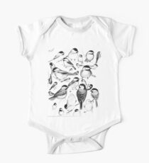 Chickadee Study One Piece - Short Sleeve