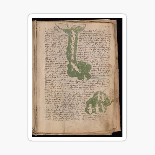 Voynich Manuscript. Illustrated codex hand-written in an unknown writing system Sticker