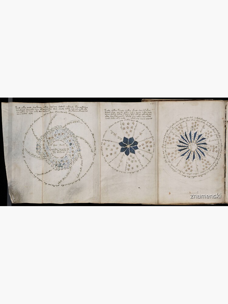 Voynich Manuscript. Illustrated codex hand-written in an unknown writing system by znamenski