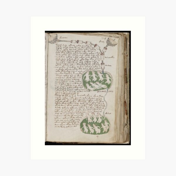 Voynich Manuscript. Illustrated codex hand-written in an unknown writing system Art Print