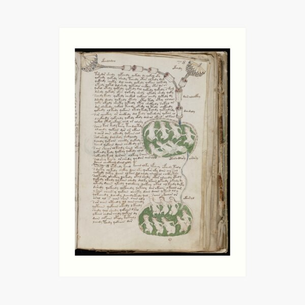 Voynich Manuscript. Illustrated codex hand-written in an unknown writing system Art Print