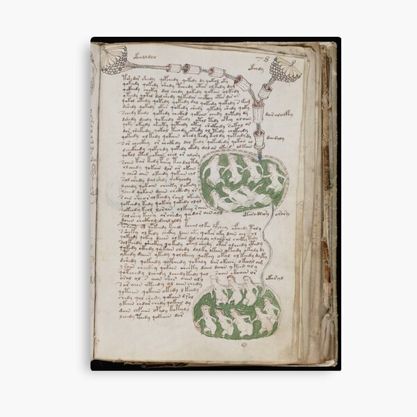 Voynich Manuscript. Illustrated codex hand-written in an unknown writing system Canvas Print