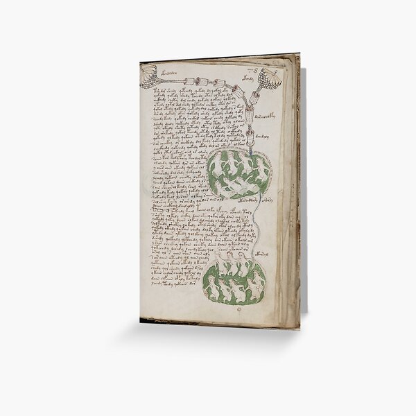 Voynich Manuscript. Illustrated codex hand-written in an unknown writing system Greeting Card