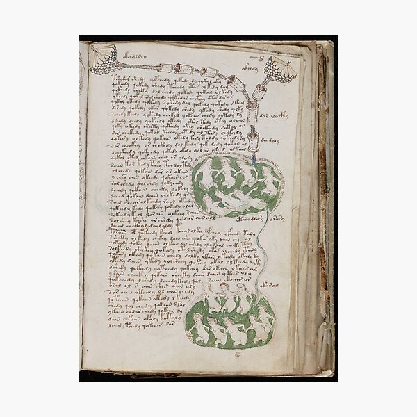 Voynich Manuscript. Illustrated codex hand-written in an unknown writing system Photographic Print
