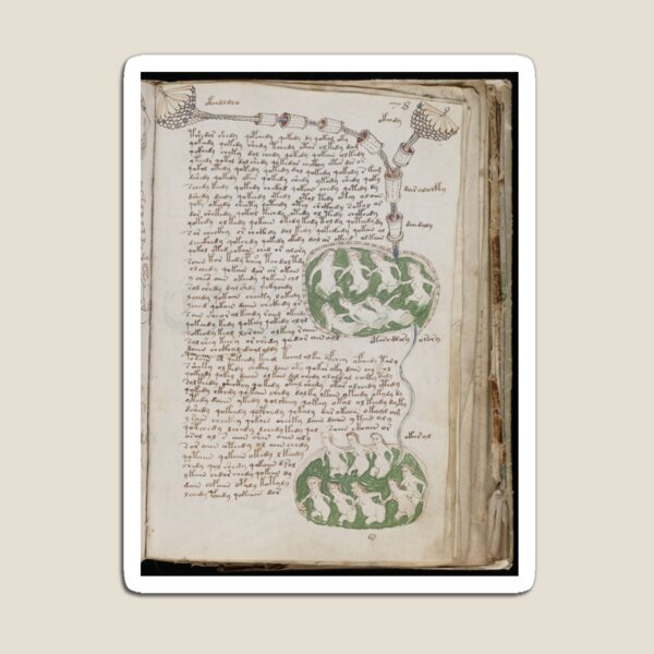 Voynich Manuscript. Illustrated codex hand-written in an unknown writing system Magnet