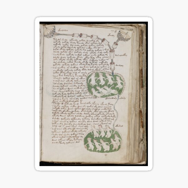 Voynich Manuscript. Illustrated codex hand-written in an unknown writing system Sticker