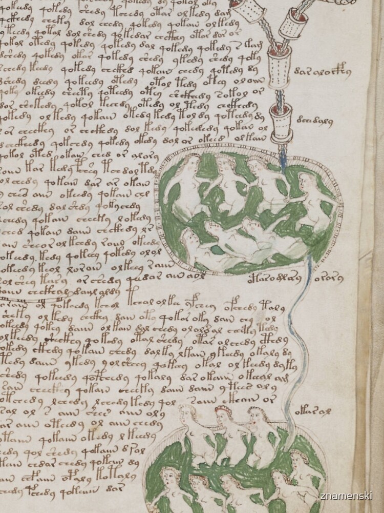 Voynich Manuscript. Illustrated codex hand-written in an unknown writing system by znamenski