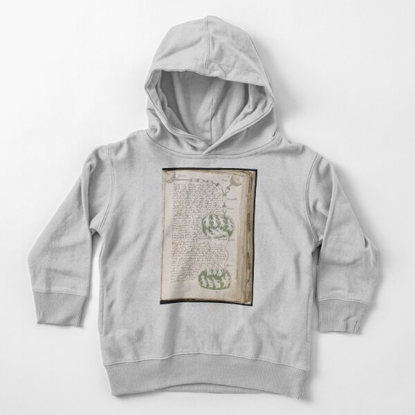 Voynich Manuscript. Illustrated codex hand-written in an unknown writing system Toddler Pullover Hoodie