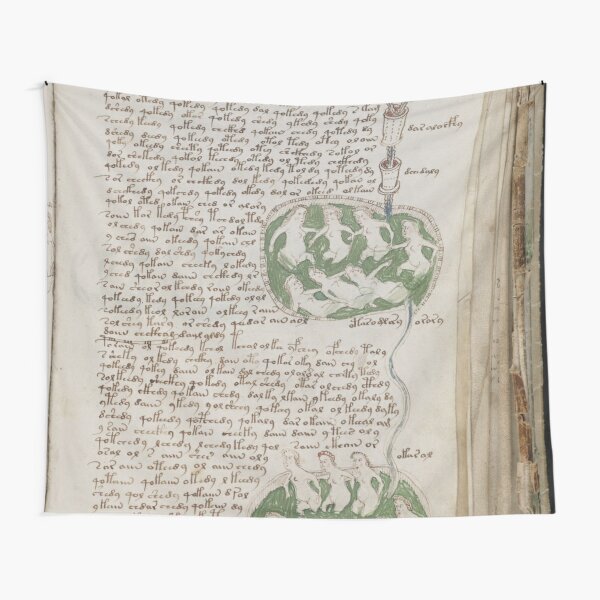 Voynich Manuscript. Illustrated codex hand-written in an unknown writing system Tapestry