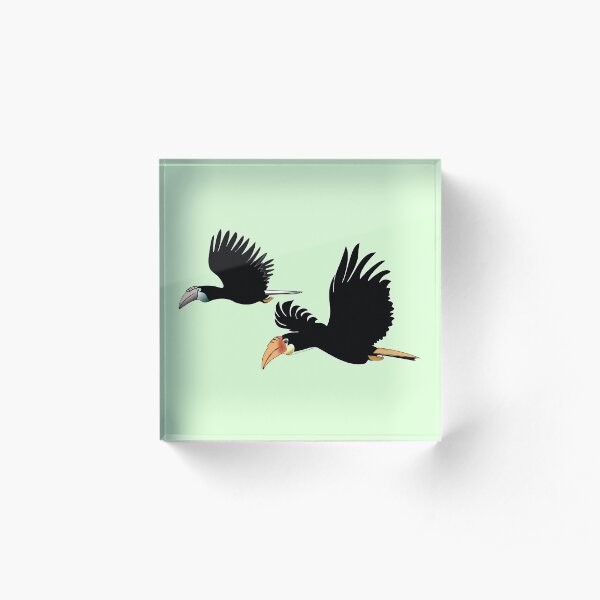 Blyth's hornbill - The Symbol of True Love Acrylic Block