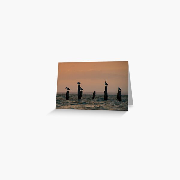Pecking Order Greeting Card