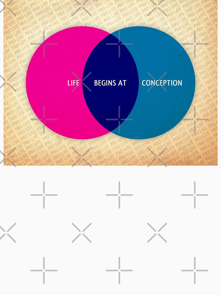 Life Begins At Conception by morningdance
