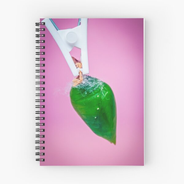 Item preview, A pupa of the tropical butterfly over pink background. Pupae is a stage between caterpillars and butterflies. designed and sold by anytka.