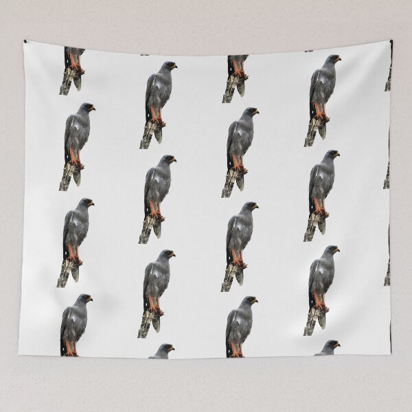 Item preview, Kopie von Dog - Wilddog - Afrika - Safari - Kenya designed and sold by TShirtsundMehr.