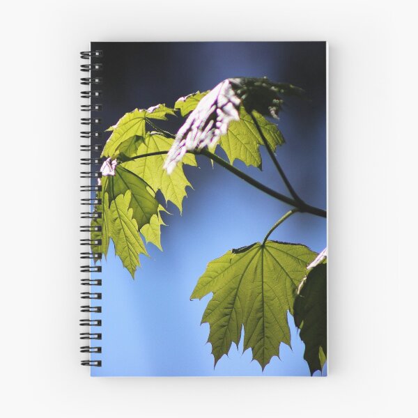 Item preview, New Leaves in the Light designed and sold by Gilda Axelrod.
