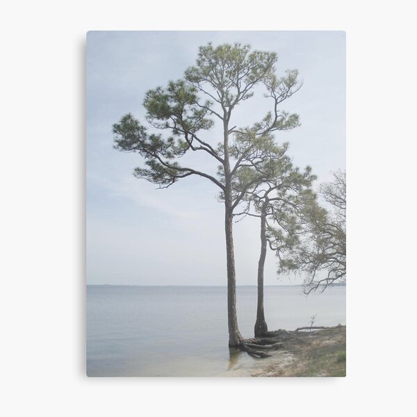 Big Feet Metal Print