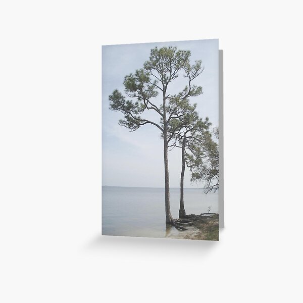 Big Feet Greeting Card