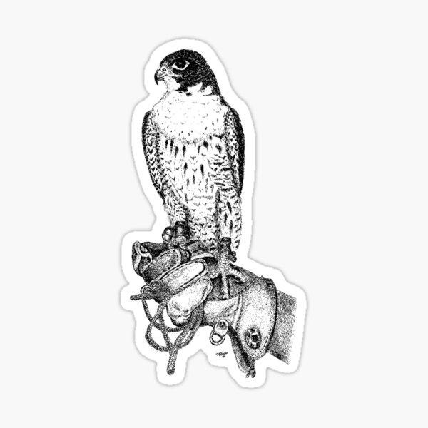 Peregrine Falcon Stickers Redbubble