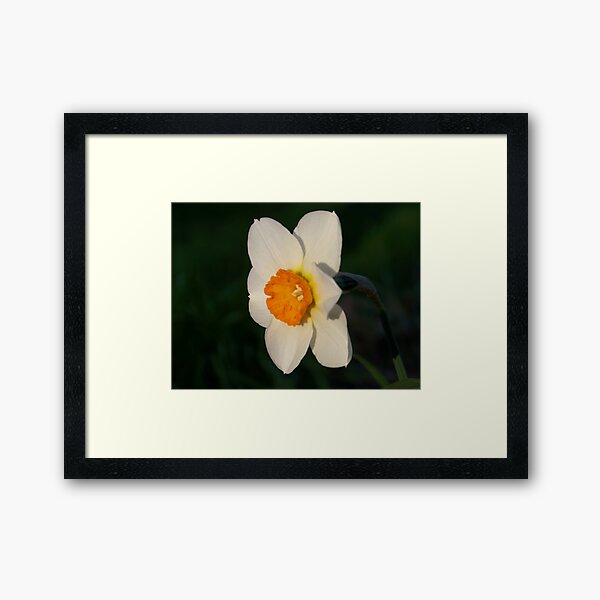 Last Light of Day Framed Art Print