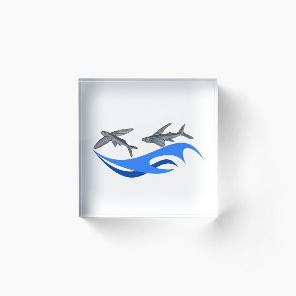 Flying Fish Acrylic Block