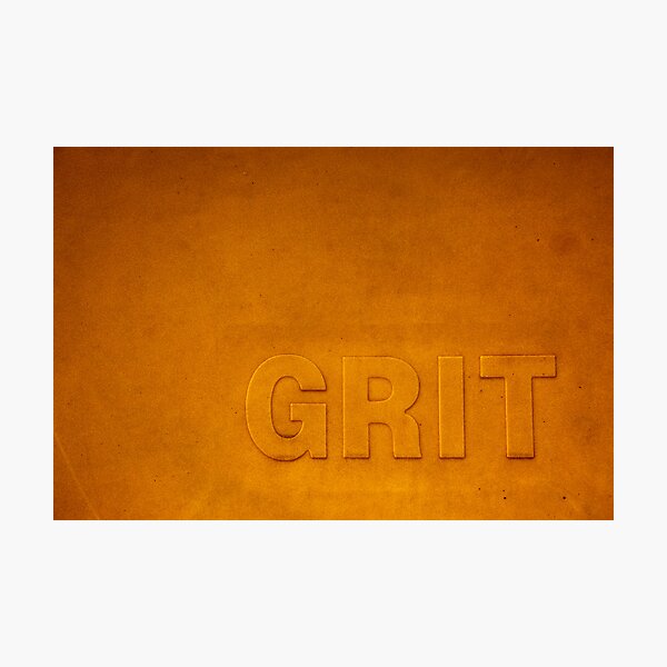 Grit Photographic Print