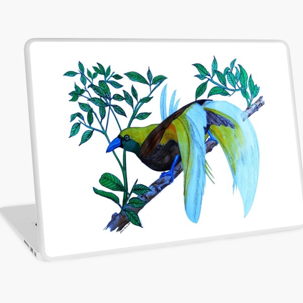 Macbook Air 13" (2015)