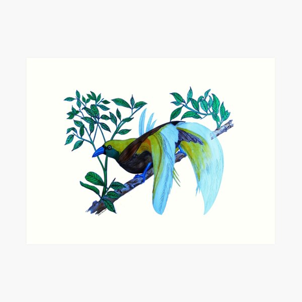 Art Print
