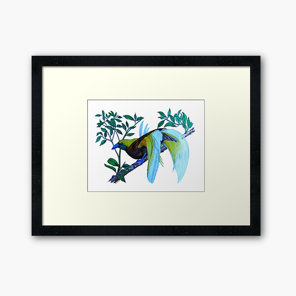 Framed Print