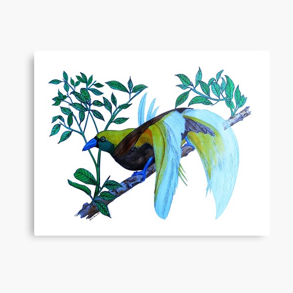 Metal Print