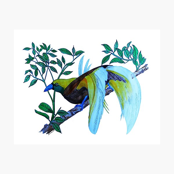 Photographic Print
