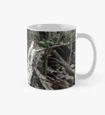 To Live In A Terrarium Mug